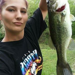 Meet your Posher, Donald